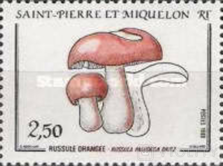 Сен-Пьер и Микелон 1988 гриб