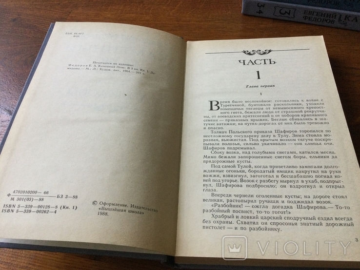 Е. Фёдоров 1988 г издание Каменный пояс, фото №4