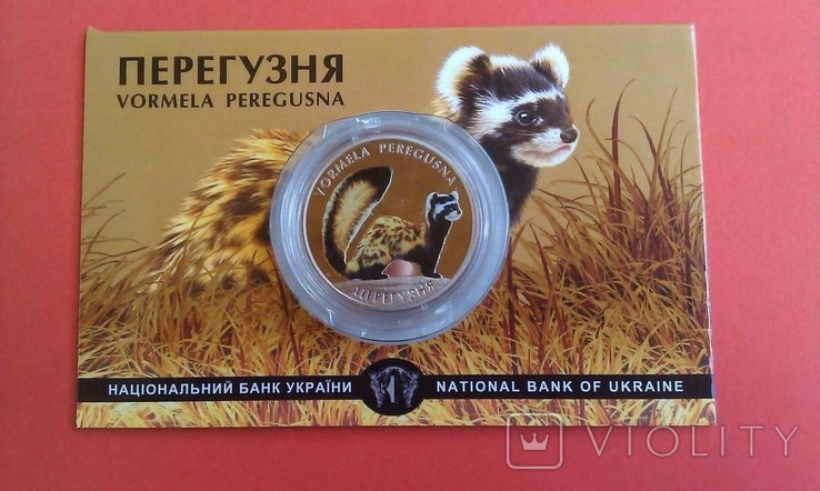 Перегузня монета 2 грн гривні 2017 хорек фауна звірі, фото №4