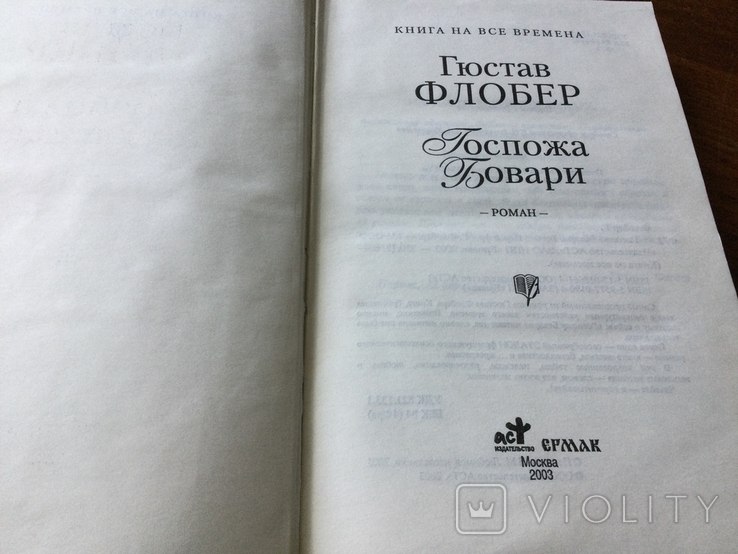 Г.Флобер Госпожа Бовари 2003, фото №4