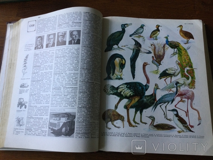 Український Радянський Енциклопедичний Словник том №3 1987 р, фото №3