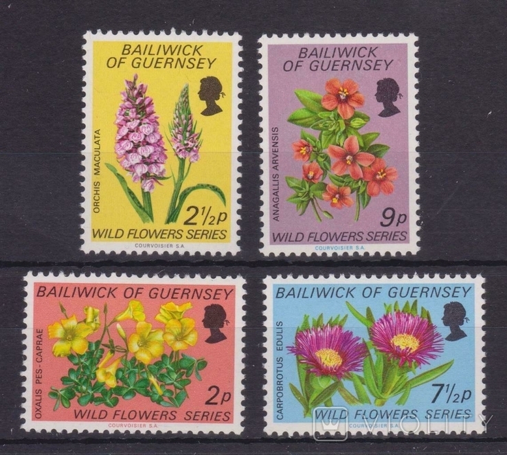 Гернси 1972 цветы