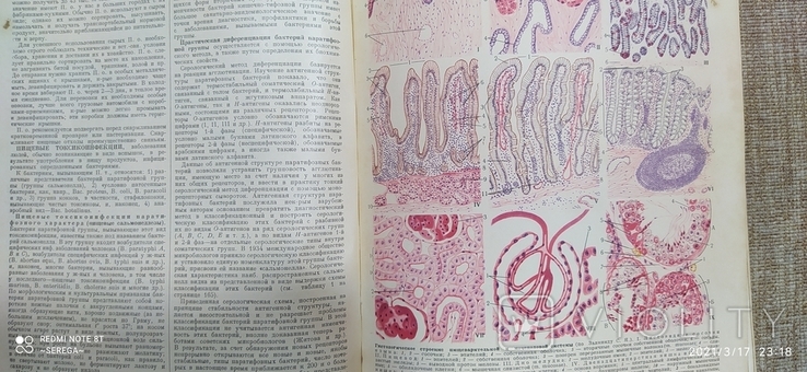 Ветеринарный энциклопедический словарь, 1950-1951 (2тома), фото №3
