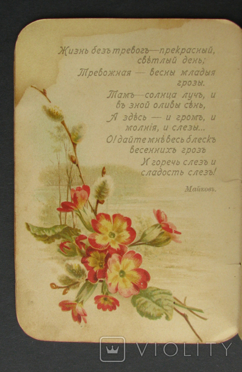 Иллюстрированный календарь на 1899 г. Старый и новый стиль. Изд. Отто Кирхнер 1898 г. СПБ., фото №6