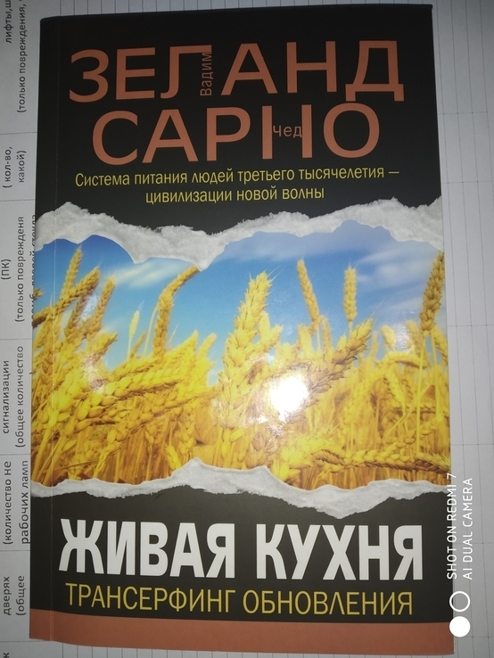 Вадим Зеланд и Чед Сарно Живая Кухня