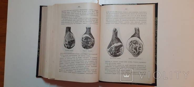 Александрова-Игнатьева.Основы кулинарного искусства 1902г, фото №5