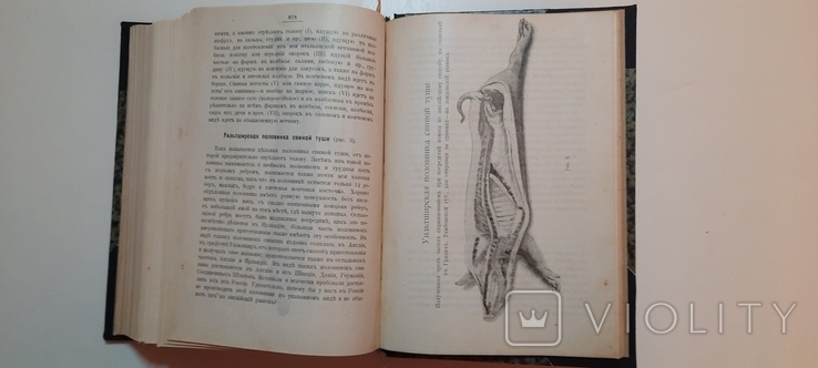 Александрова-Игнатьева.Основы кулинарного искусства 1902г, фото №6