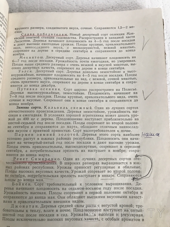 Совєти по садоводству и виноградарству., фото №5