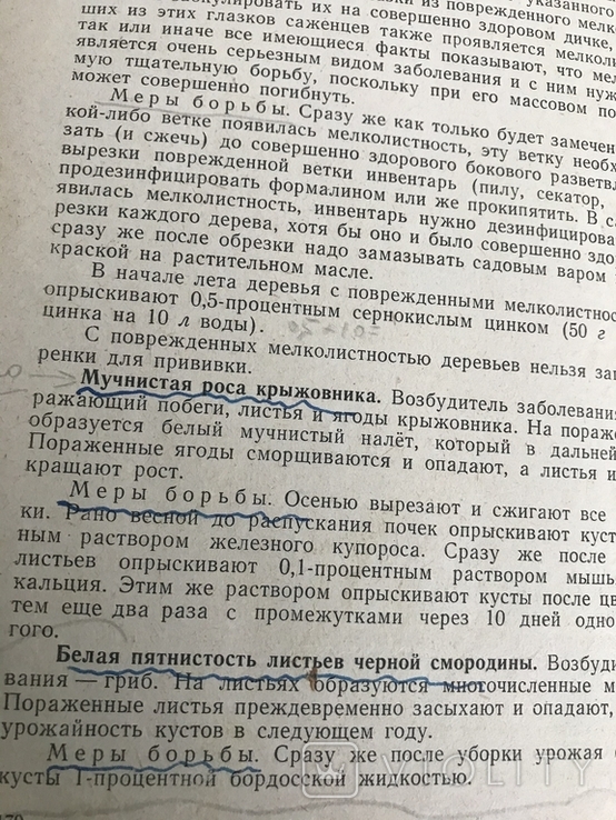 Совєти по садоводству и виноградарству., фото №6