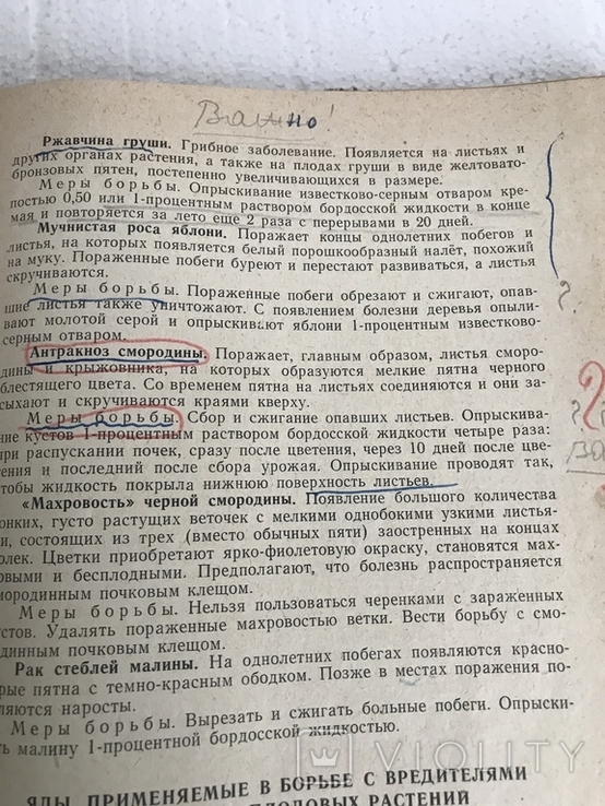 Совєти по садоводству и виноградарству., фото №7