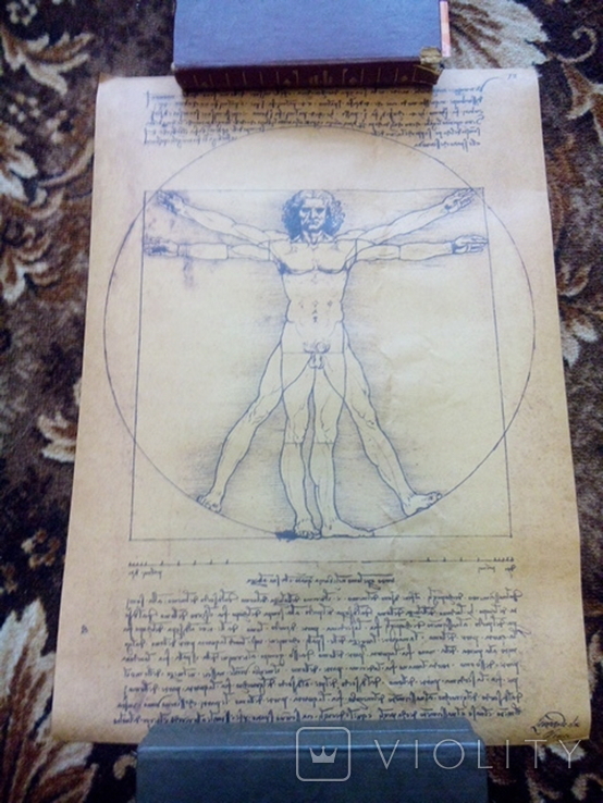 Постер Леонардо да Винчи Витрувианский человек