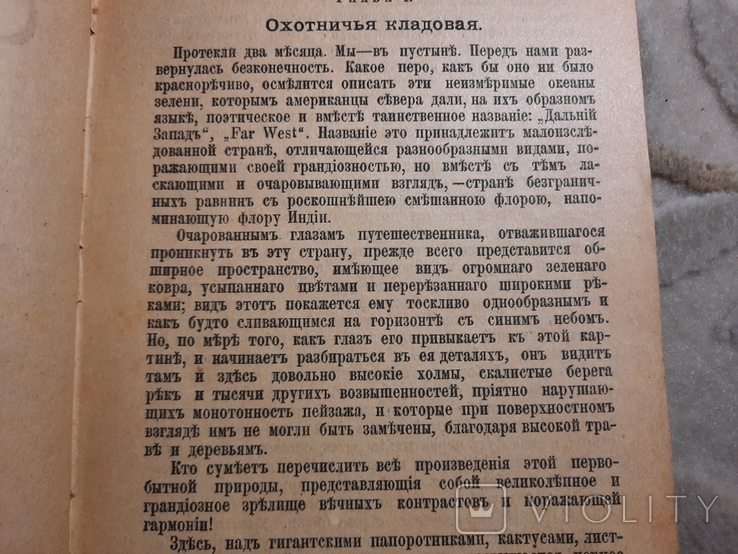 Степные разбойники роман 1900, фото №3