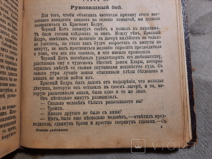 Степные разбойники роман 1900, фото №5