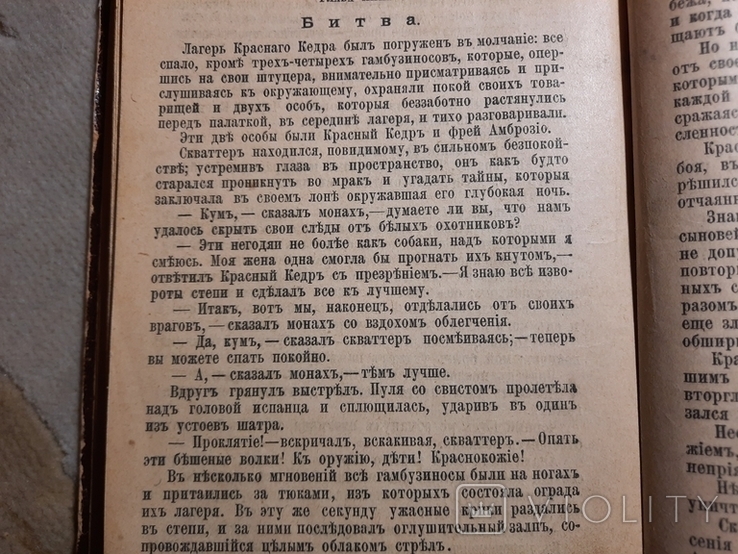 Степные разбойники роман 1900, фото №8