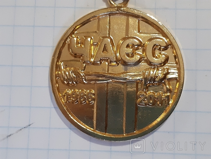 Медаль 25 лет ЧАЄС, фото №3