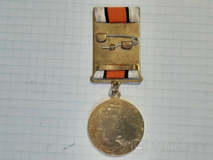 Медаль 25 лет ЧАЄС, фото №7