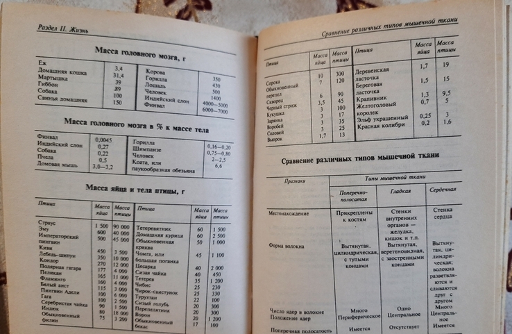 Справочник необходимых знаний от альфы до омеги, фото №5