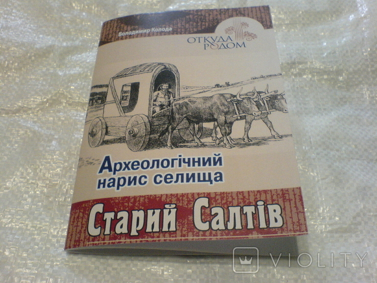 Археологічний нарис селища Старий Салтів