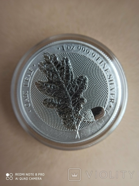 1-а в серії Лист Дубу 2019 Germania Mint 1 унція срібла, фото №5