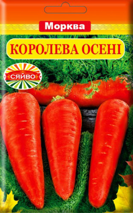 Насіння морква Королева Осені 15 гр 200054, фото №2