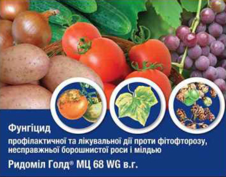 Фунгіцид для лікування фітоспорозу Ридоміл Голд 25 г 200216, фото №3