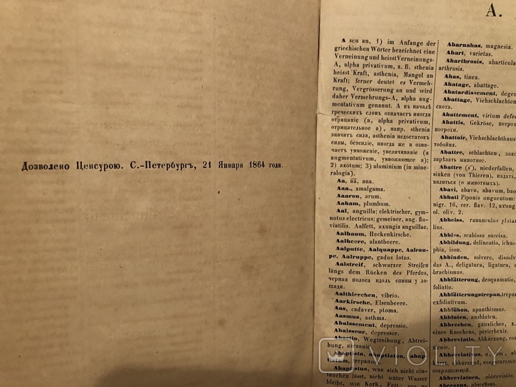 Терминологический медицинский словарь. 1864 год, фото №5