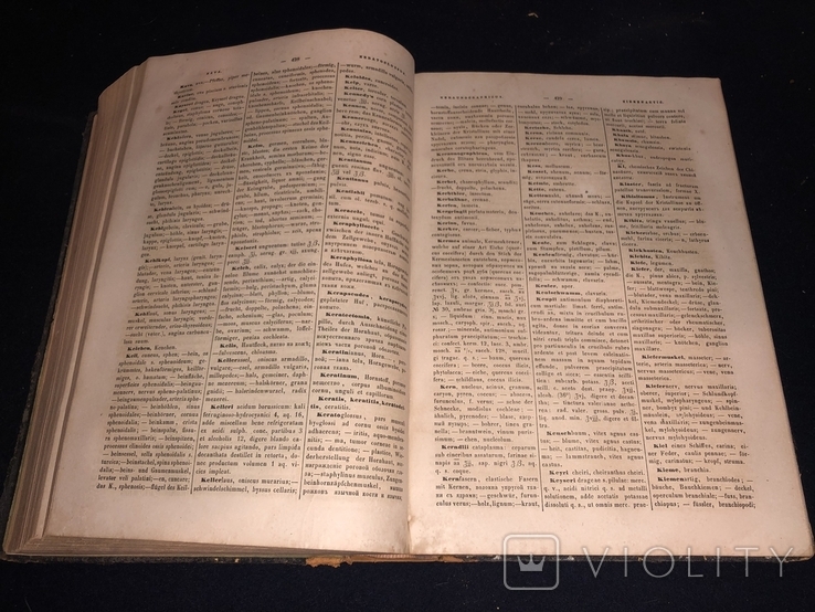 Терминологический медицинский словарь. 1864 год, фото №7