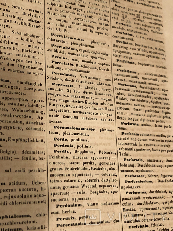 Терминологический медицинский словарь. 1864 год, фото №9
