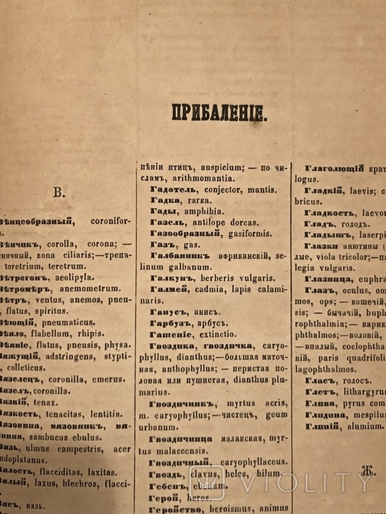 Терминологический медицинский словарь. 1864 год, фото №11