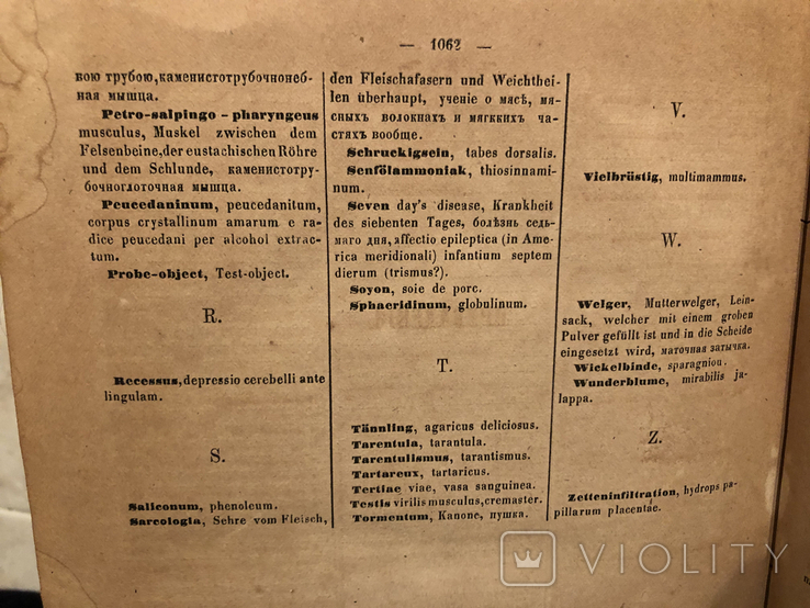 Терминологический медицинский словарь. 1864 год, фото №13