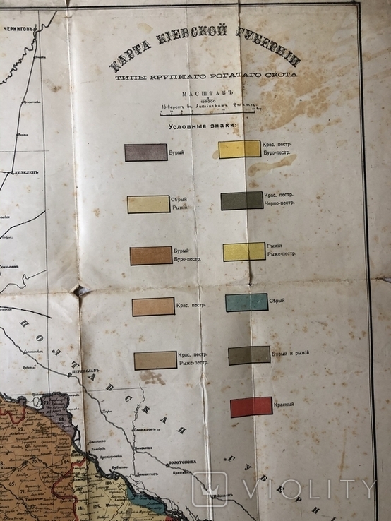 Карта Киевской губернии, фото №5