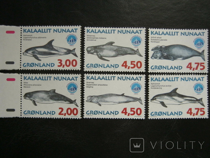 Фауна киты дельфины гренландия на
