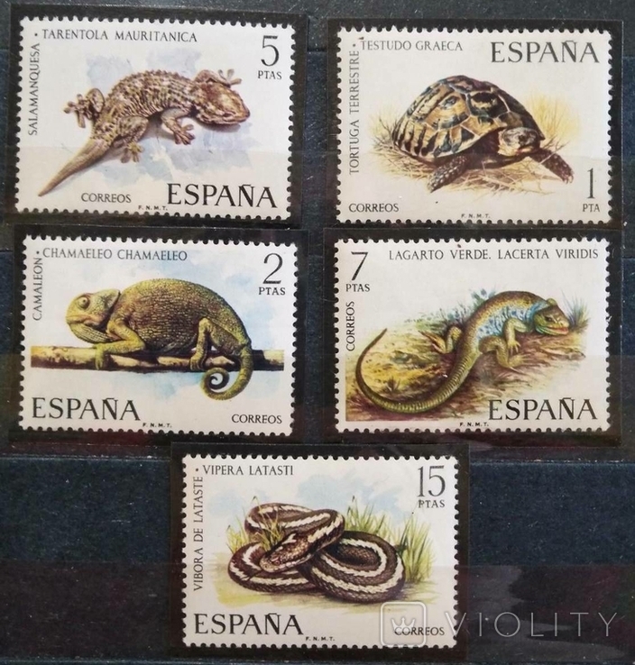 1974, Испания,ящерицы, змеи, черепахи