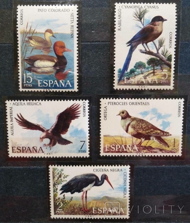 1973, Испания, птицы