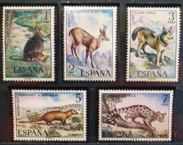 1972, Испания, животные