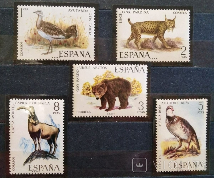 1971, Испания, животные