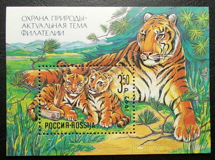 Россия 1992 г. Охрана природы Фауна Тигры **