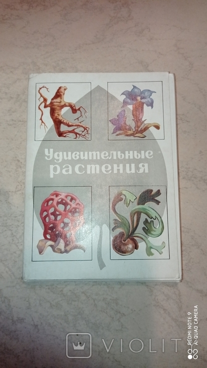 Комплект открыток "Удивительные растения" 1976 год, 32 штуки
