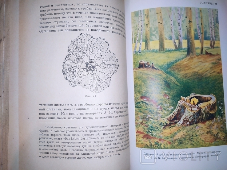 К.А.Тимирязев.3 - 4 том.1949г., фото №4