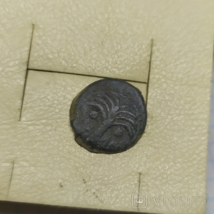 Монета третья прута, время Августа (1-13.1), фото №6