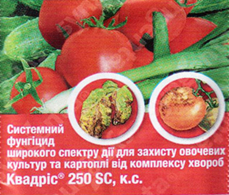 Фунгіцид проти всіх хвороб Квадріс 6 мл 200223, numer zdjęcia 3
