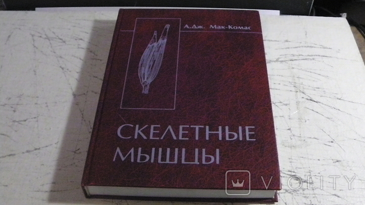 Скелетные мышцы. А. Дж. Мак-Комас., фото №2