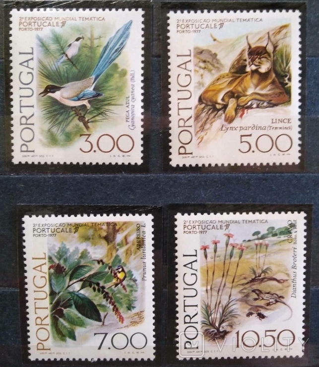 1976, Португалия, животные, птицы, рысь, ящерица