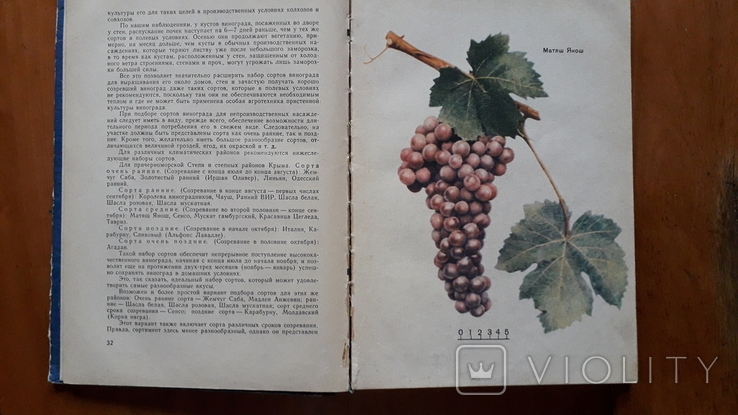 Настольная книга виноградаря 1, фото №6
