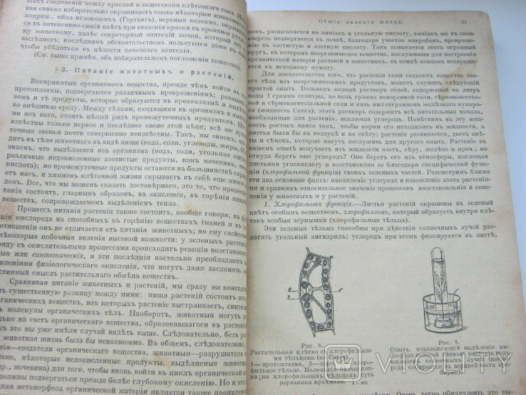 Гедон: Підручник фізіології.Київ, 1920, від співробітника, фото №7