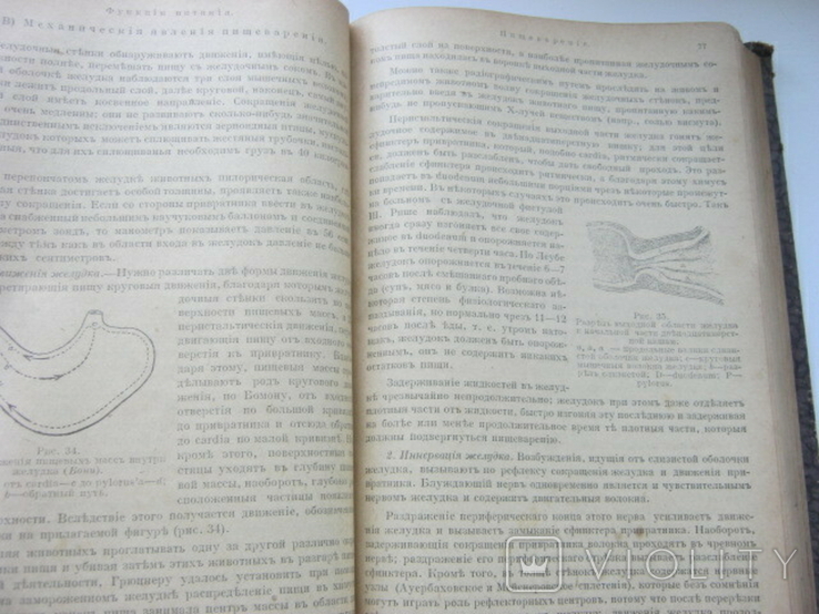 Гедон: Підручник фізіології.Київ, 1920, від співробітника, фото №8