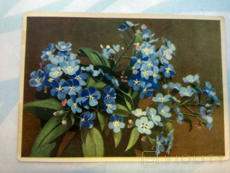 Немецкая открытка 1954 года, фото №2
