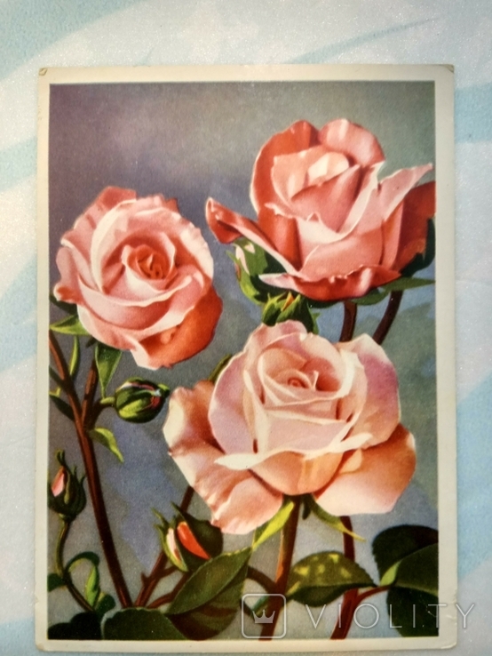 Немецкая открытка 1954 года-2, фото №2