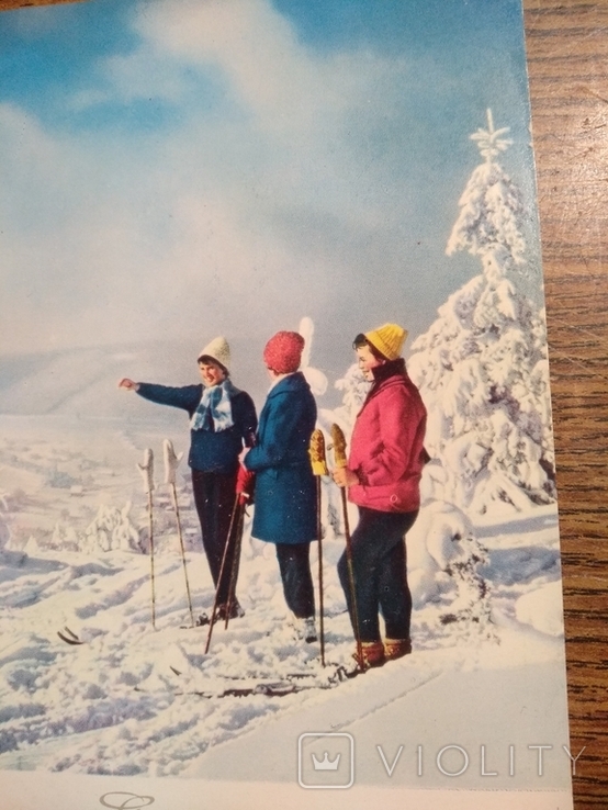 Лыжницы, фото №6