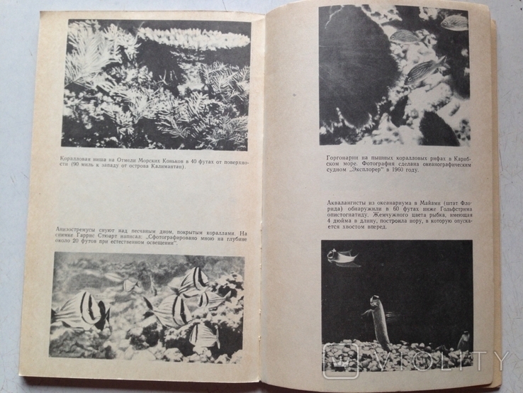 Подводные границы. Соул.Гидрометеоиздат, 1973., фото №6